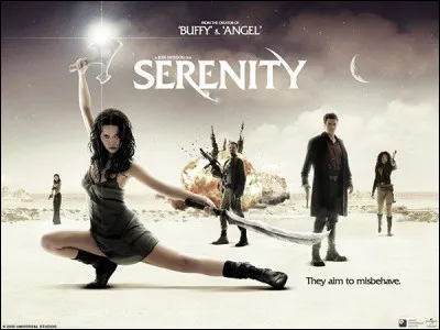 En quelle année le film "Serenity : lultime rébellion" est-il sorti ?