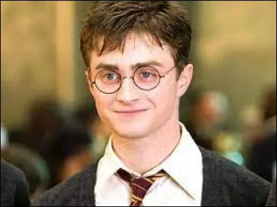 De quel sang est Harry Potter ?