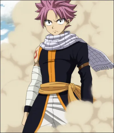 Comment sappelle le frère de Natsu ? (Fairy Tail)