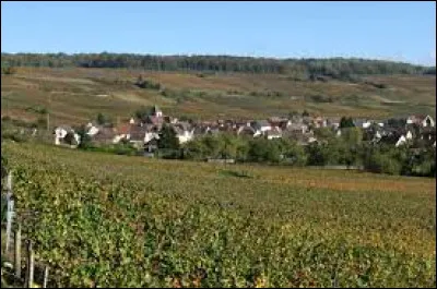 Nous commençons la semaine dans les Hauts-de-France, à Bonneil. Village sur la rive droite de la Marne, il se situe dans le département ...