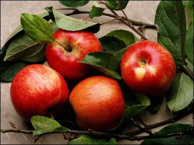 Ton ami te fait remarquer qu'une personne âgée, au coin de la rue, a du mal à ramasser ses pommes qui sont tombées sur le sol. Que lui réponds-tu ?