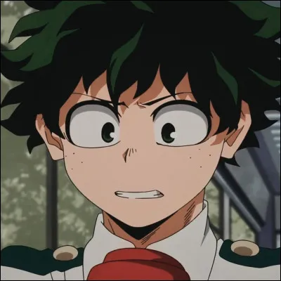 Izuku Midoriya avait un Alter à l'âge de 4 ans.