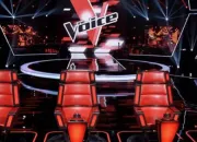 Quiz The Voice