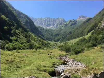 Vous marchez, vous ne voyez pas d'ours mais vous savez que, dans ce coin, vous risquez d'en rencontrer : que faites-vous ?