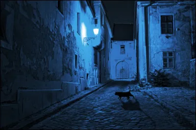 De quelle couleur sont les chats, la nuit ?