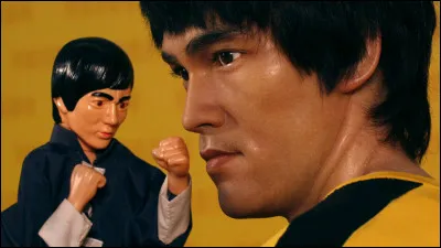 Comment s'appelle le cousin végétarien de Bruce Lee ?