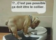 Test As-tu de l'humour ?