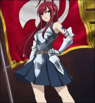 Quel est le nom de famille créé pour Erza ?