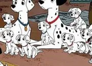 Test Quel dalmatien es-tu ?