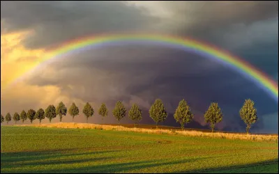 Parmi ces couleurs, laquelle préfères-tu ?