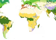 Quiz Les biomes, les formations vgtales et la biodiversit