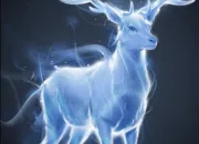 Quiz Les Patronus