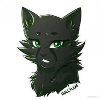 J'en ai tellement voulu à ma vraie mère que j'ai voulu l'empoisonner. Mon nom anglais est "HollyLeaf".