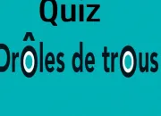 Quiz Des trous, des trous, des trous !