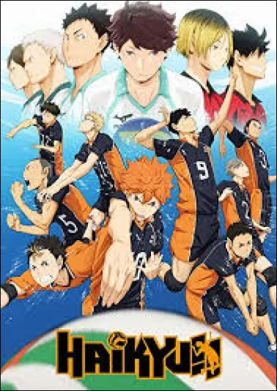 Que veut dire Haikyuu ?