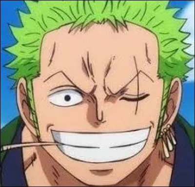 De quel manga vient Zoro ?