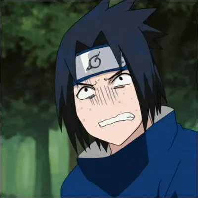 De quel clan fait partie Sasuke ?