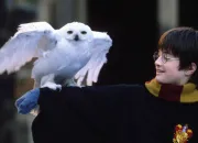 Quiz Connais-tu vraiment Harry Potter ?