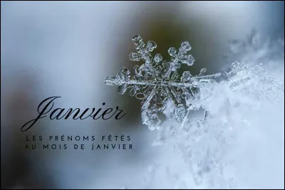 Comment dit-on "Janvier" en espagnol ?