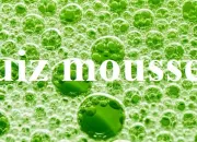 Quiz Et un quiz mousse !