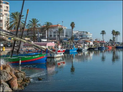 Où est située la ville de Saint-Cyprien ?