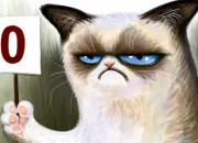 Quiz Grumpy Cat