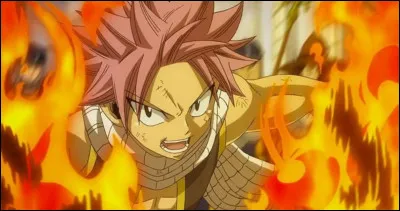 Quel est le nom complet de Natsu ?