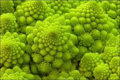 Le chou romanesco est ainsi nomm parce qu'il vient de Rome. Il intrigue les scientifiques, car sa formule mathmatique dfinit sa structure. Laquelle ?