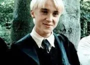 Quiz Connaissez-vous bien Drago Malefoy ?