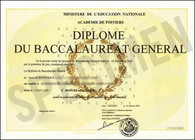 Quel est le métier le mieux payé sans diplôme ?