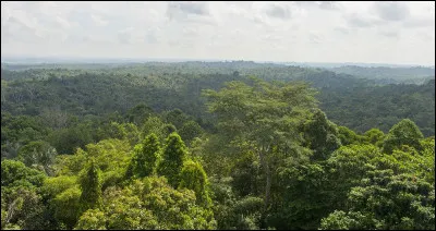 C'est la quatrième plus grande île au monde par sa superficie de 743 330 km² ; elle est appelée Kalimantan en Indonésie. C'est ...