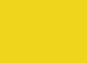 Quiz Les couleurs : jaune