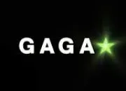 Quiz Quiz ''Gaga'' !