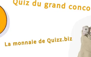 Quiz Site internet