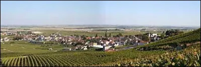 Notre première balade du week-end commence dans le Grand-Est, à Avize. Commune de l'aire d'attraction Sparnacienne, au pied la côte des Blancs, elle se situe dans le département ...