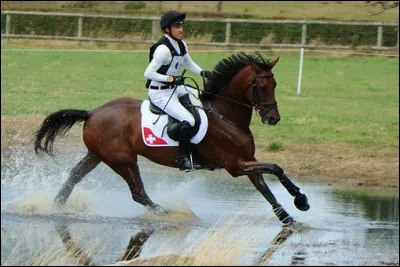 L'équitation n'est pas un sport.