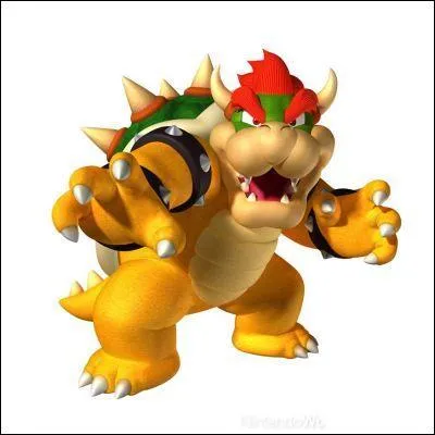 Qui est Bowser ?