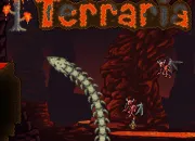 Quiz Terraria