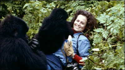 Qui est cette actrice qui joue le rôle principal dans le film ''Gorilles dans la brume'' ?