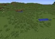 Test Quel mob es-tu dans ''Minecraft'' ?