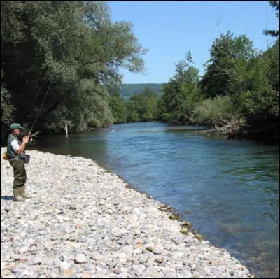 Lequel n'est pas un poisson d'eau douce ?