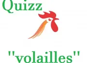 Quiz Culture gnrale ''volailles''