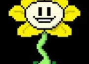 Quiz Connais-tu Flowey ?