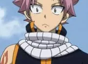 Test Est-ce que Natsu est de ta famille ?