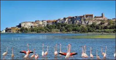 Je vous propose de commencer la semaine au bord de l'étang de Bages-Sigean, à Bages. Commune occitane, dans l'aire urbaine Narbonnaise, elle se situe dans le département ...