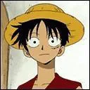 Comment se nomme le fruit que Luffy a mang ?