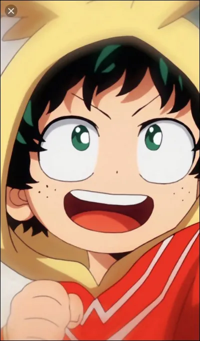 Quel est le surnom d'Izuku ?