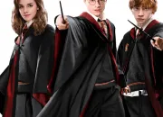 Test Quel personnage de ''Harry Potter'' es-tu ?