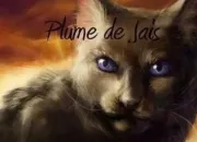 Test Quel est ton chat LGDC totem ? (Cycles 1 & 2)