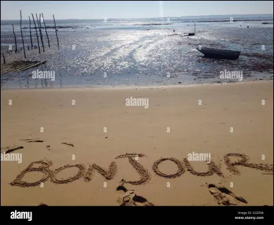 "Bonjour" vient de quelle langue ?